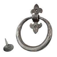 T&uuml;rklopfer altverzinkt IRF-EW013