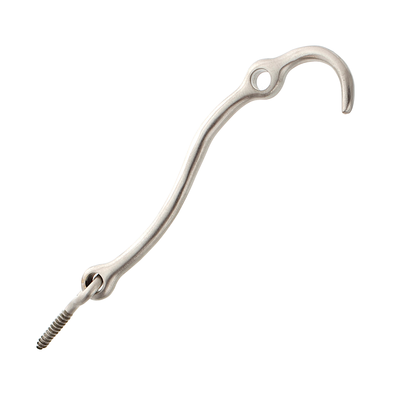 Sturmhaken mit Ringschraube NM7876