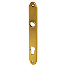 Langschild patiniert aus Messing matt gold schlanke Form