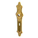 Langschild Messing Gründerzeit markante Form gold