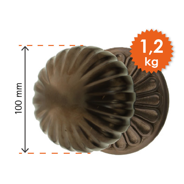 5051XL