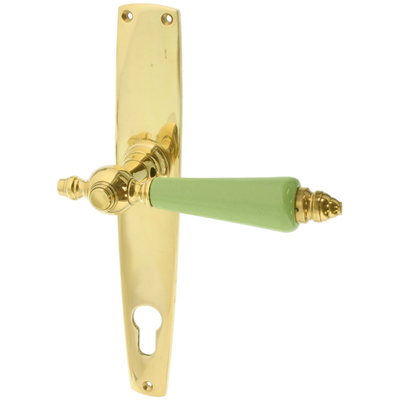 Türbeschlag gold aus Messing poliert klassische Form