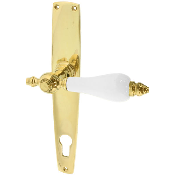 Wohnungstürbeschlag aus Messing poliert gold zeitloses Design