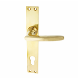 Türbeschlag aus Messing poliert, gold, ergonomische Form..