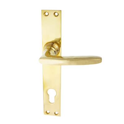 Türbeschlag aus Messing poliert, gold, ergonomische Form..