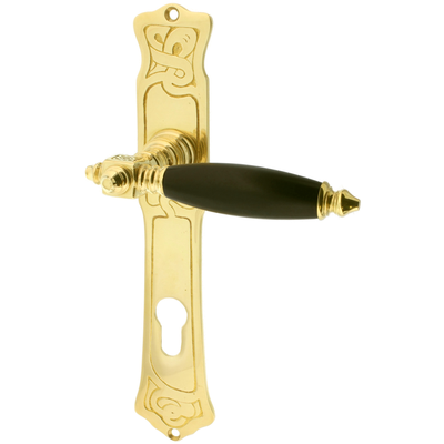 Türbeschlag aus Messing poliert, gold, elegantes Design..