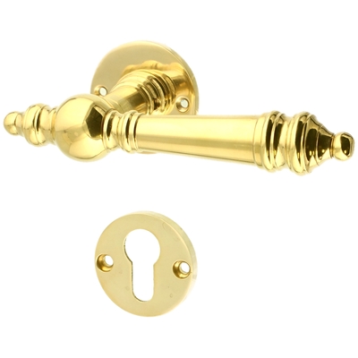 Wohnungstürbeschlag aus Messing poliert gold ergonomische Form