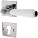 Türbeschlag aus Messing vernickelt, hochglanz poliert, silber, zeitloses Design