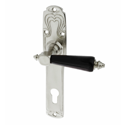 Wohnungstürbeschlag aus Messing vernickelt, matt gebürstet silber matt ergonomische Form