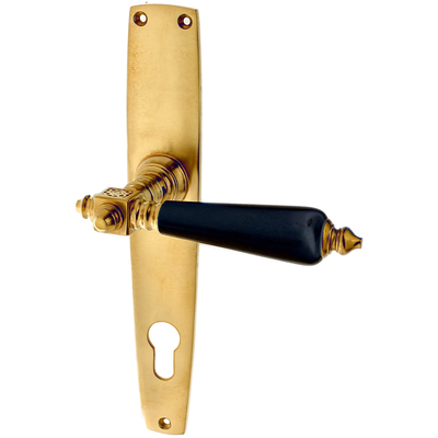 Messing Türbeschlag patiniert außergewöhnliche Form matt gold