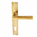 Türbeschlag aus Messing patiniert, matt gold, elegantes Design..