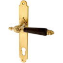 Messing Türbeschlag patiniert elegantes Design matt gold