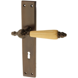 Türbeschlag aus Messing | ergonomische Form
