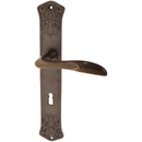 Türbeschlag Jugendstil - dunkel patiniert | ergonomische Form