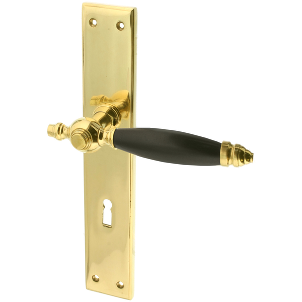 Zimmertürbeschlag aus Messing poliert gold ergonomische Form