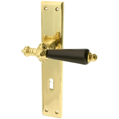 Türbeschlag gold aus Messing poliert typische Form