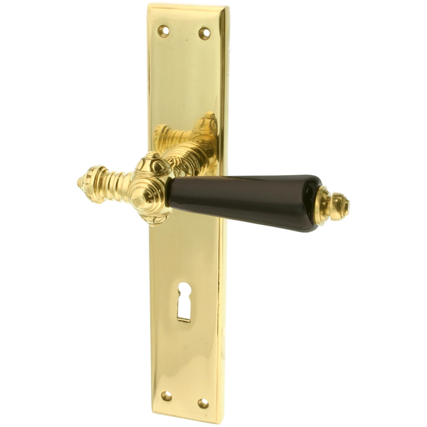 Türbeschlag gold aus Messing poliert typische Form