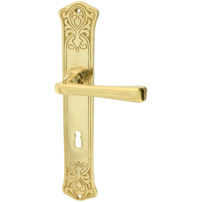 Türbeschlag aus Messing poliert, gold, schlanke Form