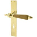 Zimmertürbeschlag poliert | ergonomische Form in gold