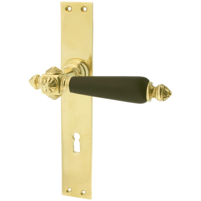 Türbeschlag gold aus Messing poliert typische Form