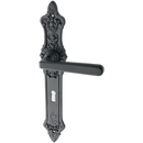 Türbeschlag Jugendstil - schwarz | schlichtes Design