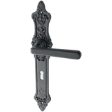 Türbeschlag Jugendstil - schwarz | schlichtes Design
