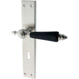 Türbeschlag aus Messing elegantes Design silber matt