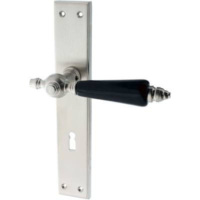 Türbeschlag aus Messing elegantes Design silber matt