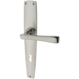 Türbeschlag aus Messing vernickelt, matt gebürstet, silber matt, ergonomische Form..