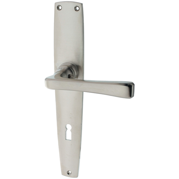 Türbeschlag aus Messing vernickelt, matt gebürstet, silber matt, ergonomische Form..