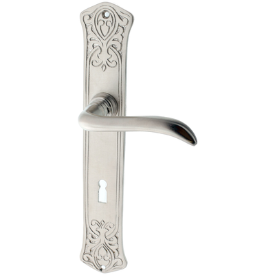 Türbeschlag aus Messing vernickelt, matt gebürstet, silber matt, ergonomische Form..