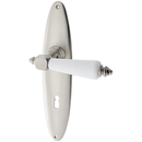 Türbeschlag silber aus Messing vernickelt, matt gebürstet ergonomische Form