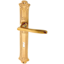 Messing Türbeschlag patiniert elegantes Design matt gold