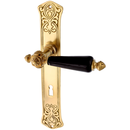 Türbeschlag aus Messing patiniert, matt gold, elegantes Design