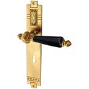 Türbeschlag aus Messing Jugendstil elegantes Design matt gold