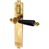 Türbeschlag aus Messing Jugendstil elegantes Design matt gold