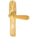 Zimmertürbeschlag Jugendstil patiniert | außergewöhnliche Form in matt gold