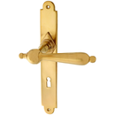 Türbeschlag matt gold aus Messing patiniert klassische Form