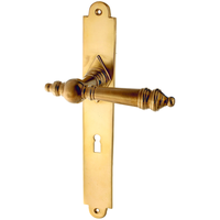 Zimmertürgarnitur Aisch P