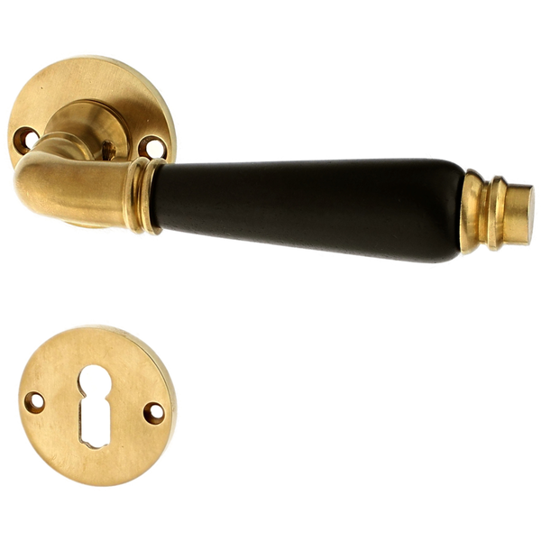 Türbeschlag aus Messing, elegantes Design | matt gold