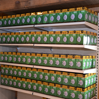 100 Stück Atemschutzmaske FFP2 Dromex 1020