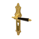 Ensemble antique de poignées de porte extérieur en laiton poli 