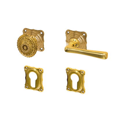 Türgriff mit Rosetten für Haustüren - Jugendstil - Modell "Freiberg" -  Messing poliert. WG Modell "Freiberg"