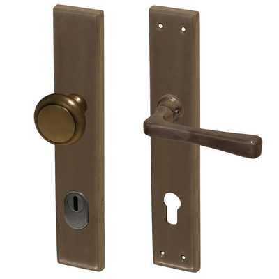 Antiker Haustürbeschlag Schutzbeschlag mit Knauf Wechselgarnitur Jugendstil | WG Modell Hartberg A