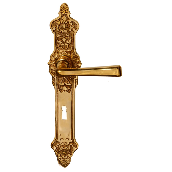 Türbeschlag Gründerzeit/Jugendstil antik | Messing poliert | BB Modell "Erkelenz B" | Ventano | Ansicht 1