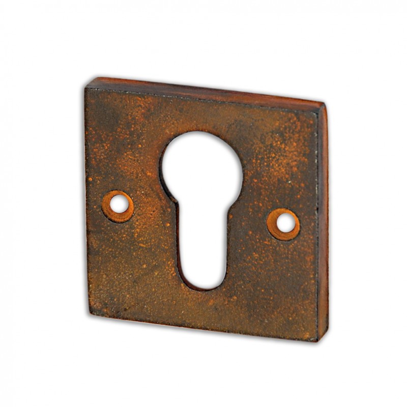 Sicherheits-Rosette Für Profilzylinder-Schloss #84-A | Einfache Schlüssel-Entsperrung